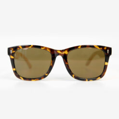 Brown & Leopard Fashion Sunglasses