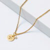 Aries necklace