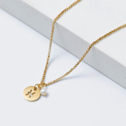 Zodiac Pendant Necklace - Capricorn
