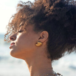 Gold Shell Stud Earrings