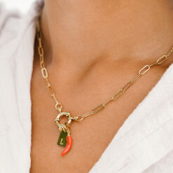 Spicy Pepper Charm for Necklace Spicy Pepper Charm for Necklace